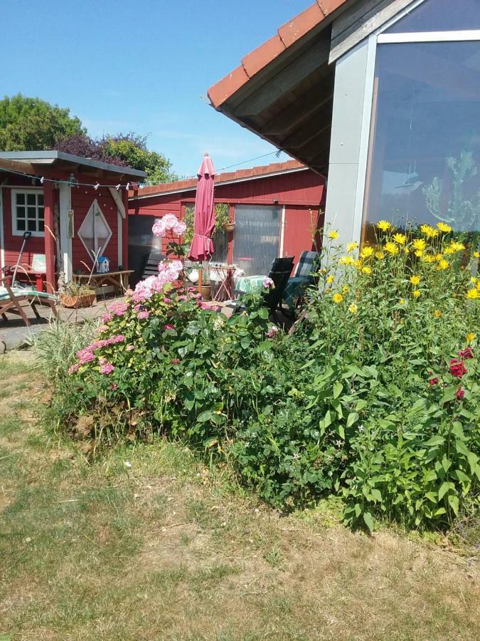 Ostseeurlaub-Asmussen Гелтинг Екстериор снимка